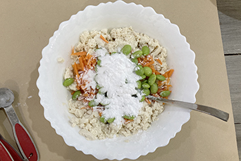 tofu_tikki_1