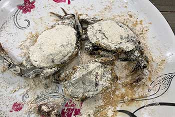 softshelcrab2