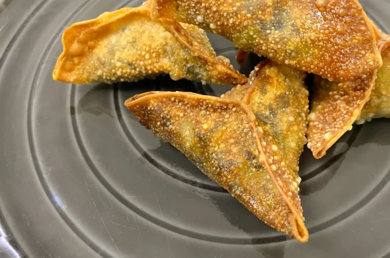 Japanese Samosa