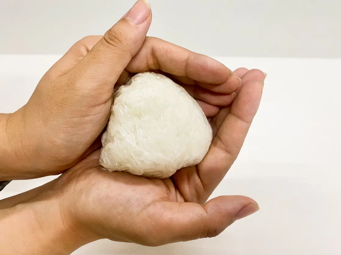 Onigiri Recipe 2